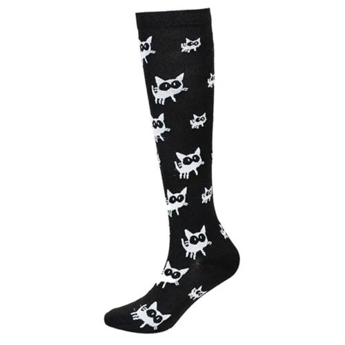B&W Cats